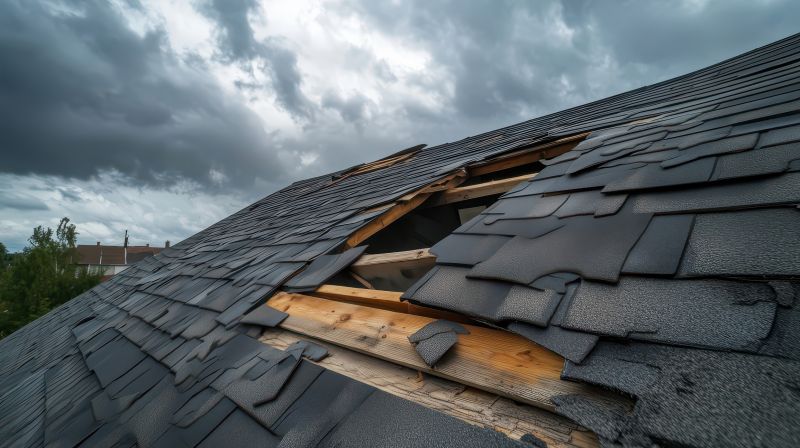 Roof Damage Restoration